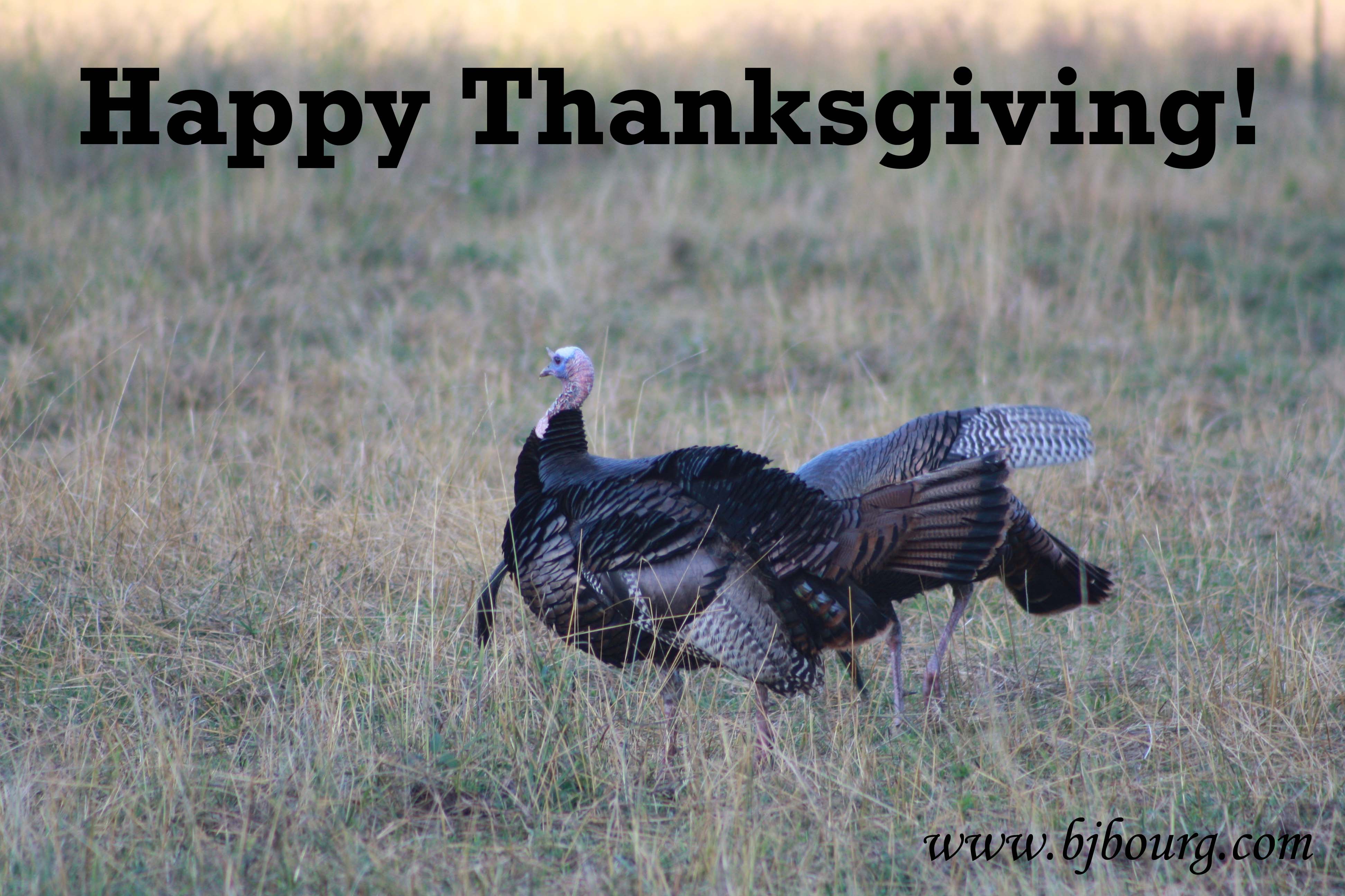 Happy Thanksgiving! | BJ Bourg